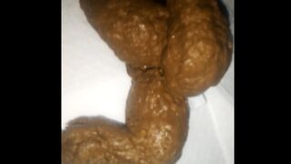 I MADE A MASTERPIECE - TASTY SHIT, ScatKings.com Scat Porn 7 ScatKings.com Scat Porn