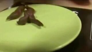 Marion shits on a plate 2, ScatKings.com Scat Porn 8 ScatKings.com Scat Porn