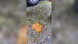 POO DESPERATION AT THE WOODS, ScatKings.com Scat Porn 10 ScatKings.com Scat Porn