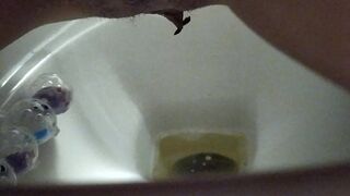 Poop into toilet 3, ScatKings.com Scat Porn 9 ScatKings.com Scat Porn