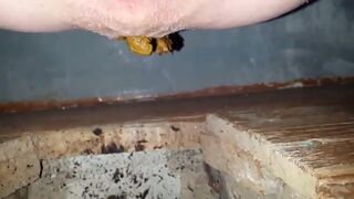 Videos 128, ScatKings.com Scat Porn 11 ScatKings.com Scat Porn
