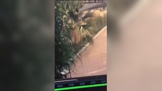 Woman desperate poop cctv, ScatKings.com Scat Porn 12 ScatKings.com Scat Porn