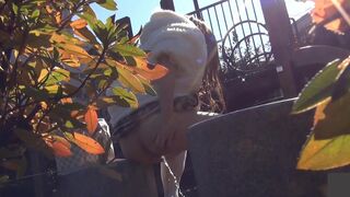 japanese pooping outdoor - video 5, ScatKings.com Scat Porn 2 ScatKings.com Scat Porn