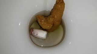 tampon poop-pt2 - the flush, ScatKings.com Scat Porn 14 ScatKings.com Scat Porn