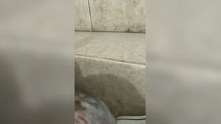 中国女王正在为他的厕奴准备食物, ScatKings.com Scat Porn 16 ScatKings.com Scat Porn